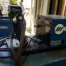 Miller 22A 24V Wirefeed