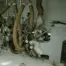 Holzher Sprint 1321 Edgebender