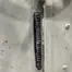 Bechtold PR51 Glue Roller