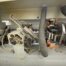 Bimatic Challenger 4.5 Edgebander